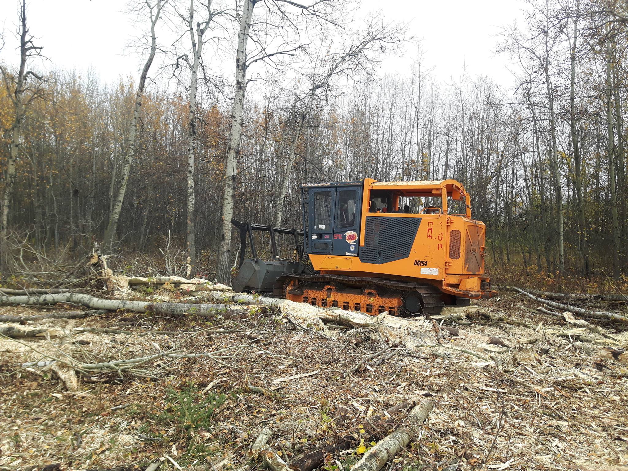 Underbrush removal